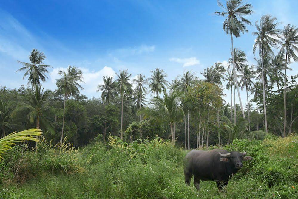 Samui Le Reve Hotel Na Mueang Eksteriør billede